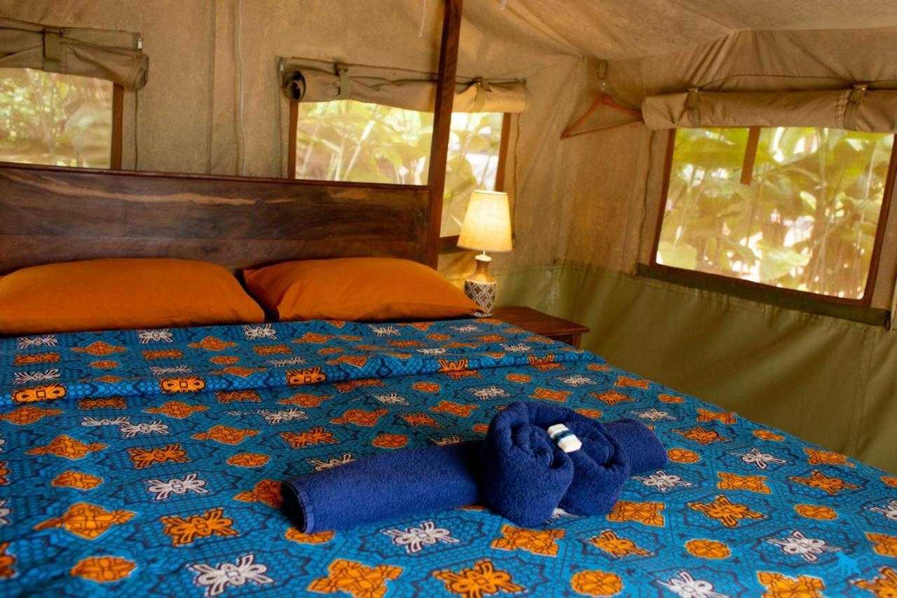 Bluemonkey Guesthouse Entebbe Exterior foto