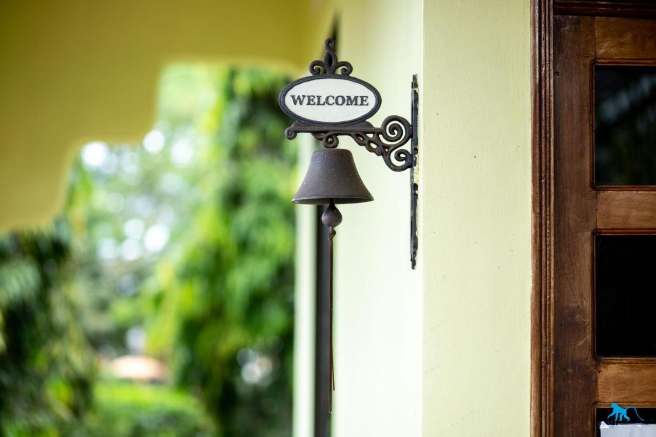 Bluemonkey Guesthouse Entebbe Exterior foto