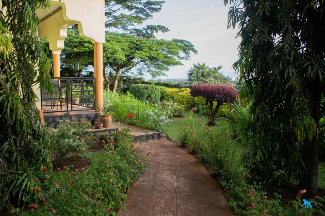 Bluemonkey Guesthouse Entebbe Exterior foto